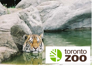 Toronto Zoo Limo Rentals