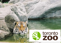 Book a Limo to the Toronto Zoo